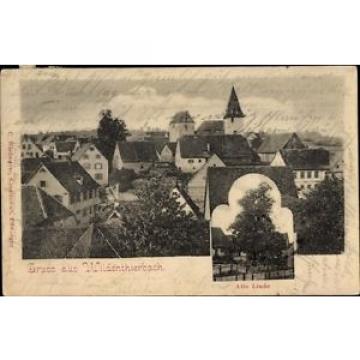 Ak Wildentierbach Niederstetten BW, Ortschaft, Alte Linde - 1609919