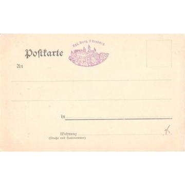 Germany postcard Nurnberg Konigliche Burg Schlosshof mit Linde