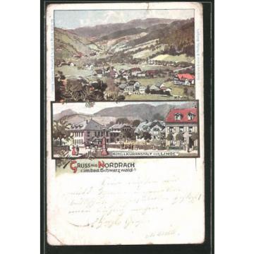 tolle Lithographie Nordrach, Totale des Ortes, Hotel Kuranstalt zur Linde 1899