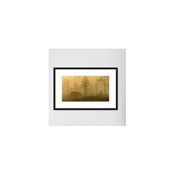 Global Gallery &#039;Morning Fog&#039; by Svein Ove Linde Framed Photographic Print