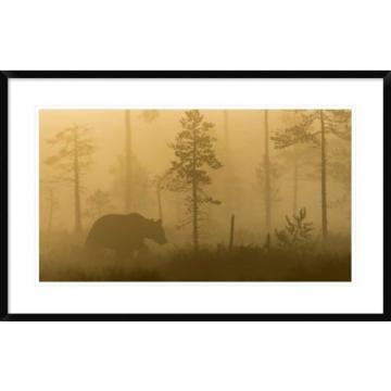 Global Gallery &#039;Morning Fog&#039; by Svein Ove Linde Framed Photographic Print