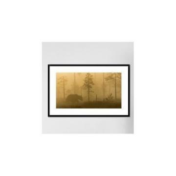 Global Gallery &#039;Morning Fog&#039; by Svein Ove Linde Framed Photographic Print