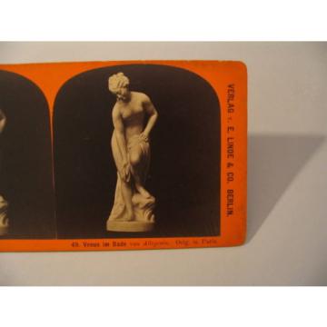 Sculpture Stereoview Photo cdii Stiehm Linde 49 Venus im Bade von Allegrain