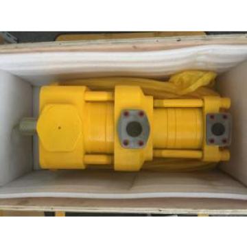 Sumitomo QT6153-160-50F Double Gear Pump