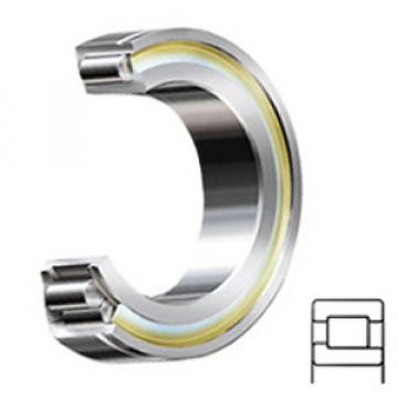 INA SL192309 Cylindrical Roller Bearings