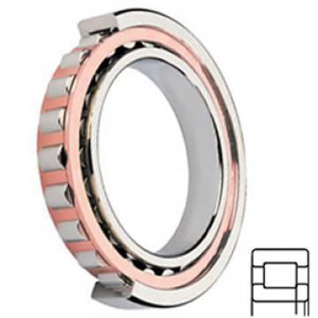SKF NUP 212 ECP/C3 Cylindrical Roller Bearings