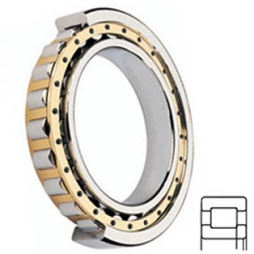 FAG BEARING NUP203-E-M1A Cylindrical Roller Bearings