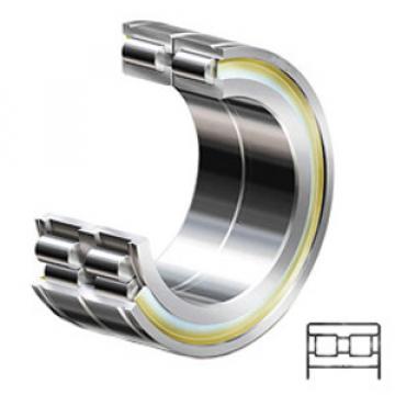 INA SL045005-PP Cylindrical Roller Bearings