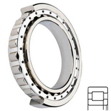 NSK NUP2207W Cylindrical Roller Bearings