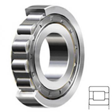 NSK NF208W Cylindrical Roller Bearings