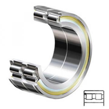 INA SL184838 Cylindrical Roller Bearings