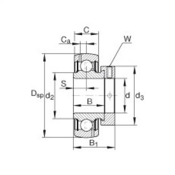FAG Radial insert ball bearings - GRA106-NPP-B-AS2/V