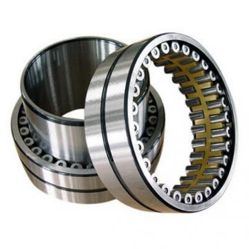544741 65-725-034 Cylindrical Roller Bearing Without Cup 36x56.3x20mm