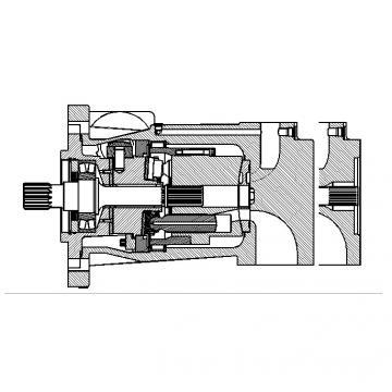 Dansion P080 series pump P080-02L1C-L10-00