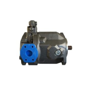 origin Schwing Hydraulic pumps 30364139 10202812 r9024361062 Rexroth Bosch