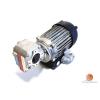 Bosch/Rexroth Australia Italy 3842503783-481 Getriebemotor #1 small image