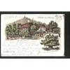 tolle Lithographie Wermsdorf, Gasthaus Collm, Linde 1896 #1 small image