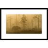 Global Gallery &#039;Morning Fog&#039; by Svein Ove Linde Framed Photographic Print #1 small image