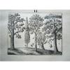 Die Laubhölzer Eiche Buche Linde Pappel Weide Botanik Lithografie 1842 #1 small image