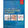 Te Linde&#039;s Atlas of Gynecologic Surgery #1 small image