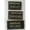 HENS &#039;n CHICKS Plant ID Labels Engraved Plastic choose 41 varieties Sempervivum #11 small image