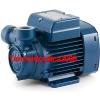 Electric Peripheral Water PQ Pump PQm80 1Hp Brass impeller 240V Pedrollo Z1 #1 small image