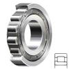 NSK NJ203W Cylindrical Roller Bearings #1 small image