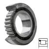 INA SL181836-C3 Cylindrical Roller Bearings #1 small image