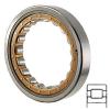 SKF RNU 2319 ECML Cylindrical Roller Bearings #1 small image