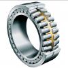 500722308 ZB-11028 Cylindrical Roller Bearing 40x144x29mm