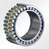 NUPK313-4NRC3 7602-0213-06 Cylindrical Roller Bearing 65x150x33mm