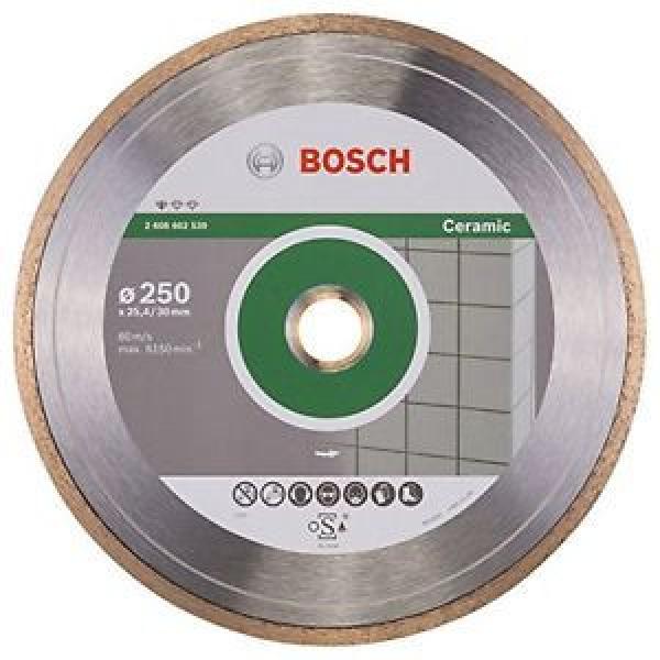 BOSCH, 2608602539, Disco diamantato standard per la ceramica, 250 x 30 e 25.40 x #1 image