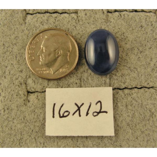 LINDE LINDY 16X12MM 17+  CTW CF BLUE STAR SAPPHIRE CREATED SS LEVERBACK EARRINGS #3 image