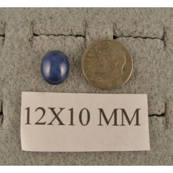 LINDE LINDY 12X10MM 9+  CTW CF BLUE STAR SAPPHIRE CREATED SS LEVERBACK EARRINGS #3 image