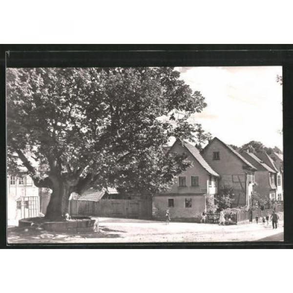 alte AK Kranichfeld, Linde vorm Baumbachhaus #1 image