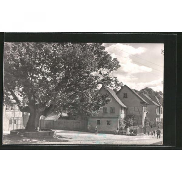 alte AK Kranichfeld, Ansicht der Linde vorm Baumbachhaus 1968 #1 image