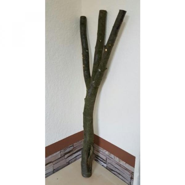 Baumstamm Linde verzweigt Ast Stamm Holz Skulptur Deko Terrarium Natur 85 cm #2 image
