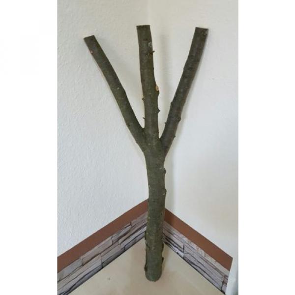Baumstamm Linde verzweigt Ast Stamm Holz Skulptur Deko Terrarium Natur 85 cm #3 image
