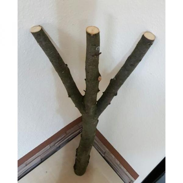 Baumstamm Linde verzweigt Ast Stamm Holz Skulptur Deko Terrarium Natur 85 cm #4 image