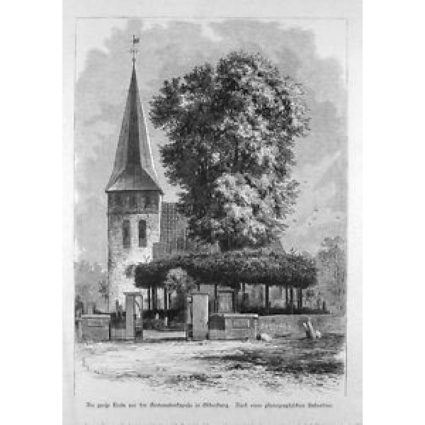 Die große Linde vor der Gertraudenkapelle in Oldenburg, gedruckt 1890 #1 image
