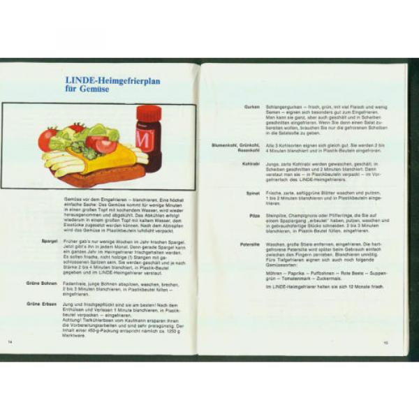 Die kleine  Linde-Gefrier-Fibel Tips Ratschläge 1969 Zeichnungen Linde Gefrieren #2 image