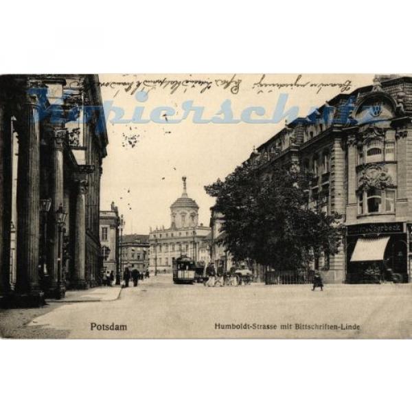 AK Potsdam, Humboldt-Strasse mit Bittschriften-Linde, 1915, 11/03 #1 image