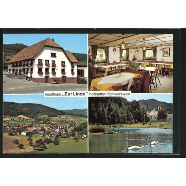 AK Hofstetten, Gasthaus zur Linde mit Gastraum, Panoramaansicht, Teichpartie #1 image