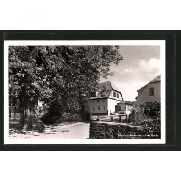 alte AK Barkhausen, Schullandheim mit alter Linde #1 image