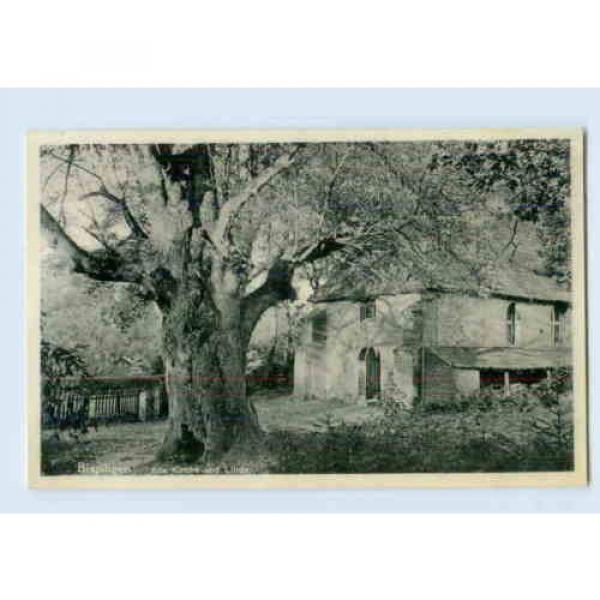 K136-3045/ Bispingen Kirche und Linde Baum  AK 1937 #1 image