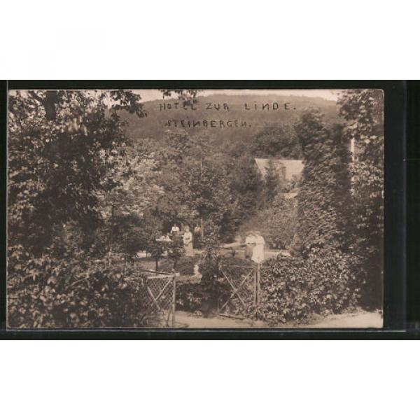 alte AK Steinbergen, Garten vom Hotel zur Linde 1912 #1 image