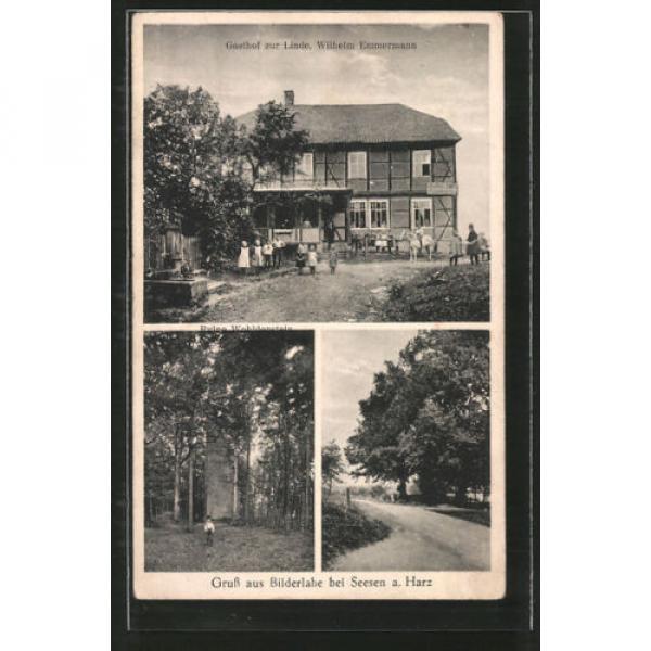AK Bilderlahe, Gasthof zur Linde v. W. Emmermann, Ruine Wohldenstein, Ortsparti #1 image