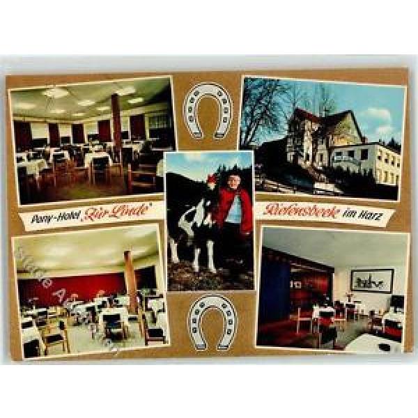 51885601 - Riefensbeek Pony Hotel zur Linde  Preissenkung #1 image