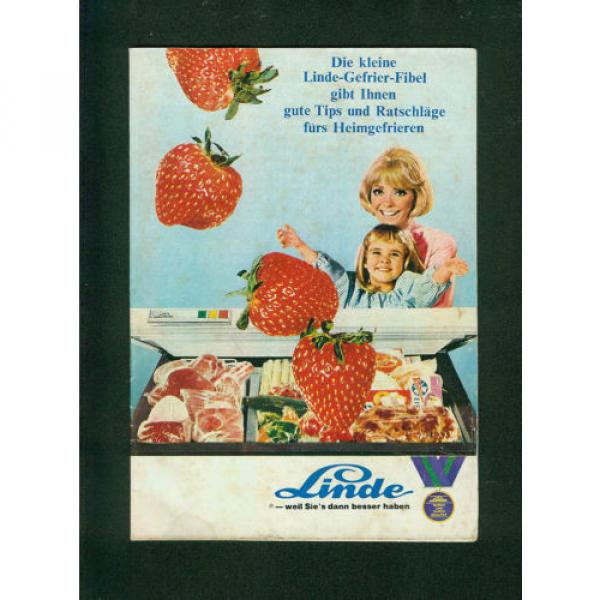 Altes Werbeheft Die kleine Linde-Gefrier-Fibel  1960er Zeichnungen Tips Küche #1 image