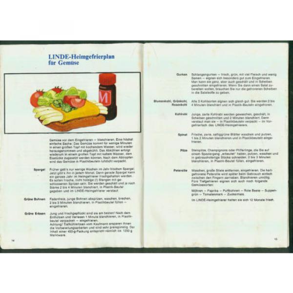 Altes Werbeheft Die kleine Linde-Gefrier-Fibel  1960er Zeichnungen Tips Küche #2 image